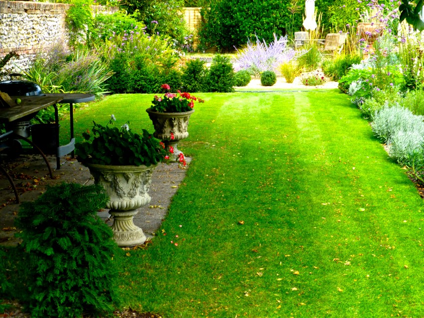 Trawnik przy tarasie